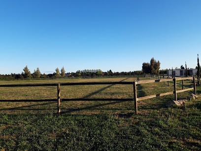 Les Perseides écurie De Propriétaires, Pension pour Chevaux à Beaucaire