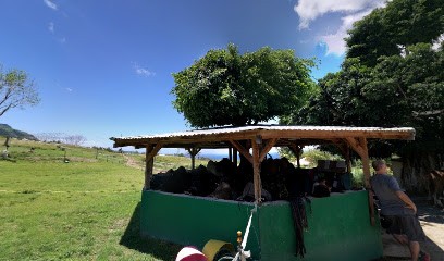 LA MANADE, Centre Equestres à Herbéviller