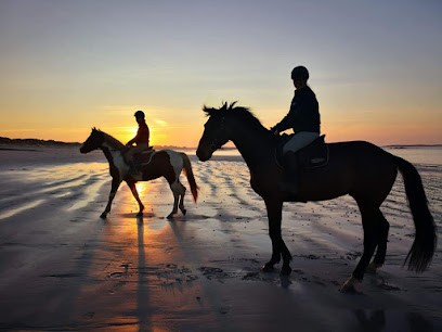 Écurie Des Tevenn, Centre Equestres à Lampaul-Ploudalmézeau