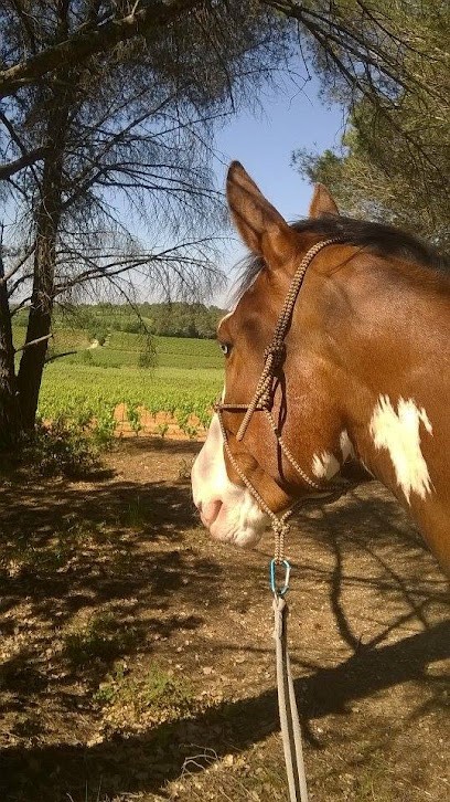 Equestrian Center Pleine Nature, Centre Equestres à Tourbes