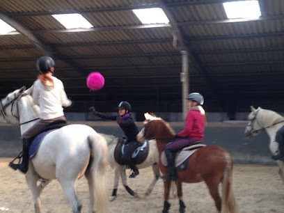 Stables Les Cinq Chemins, Centre Equestres à Hondeghem