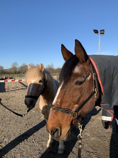 Les Ecuries Des Chenes, Centre Equestres à Esquelbecq