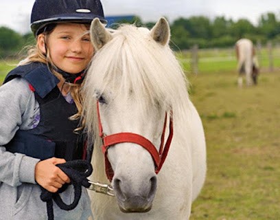 Equestrian Club De Vilvert, Centre Equestres à Jouy-en-Josas