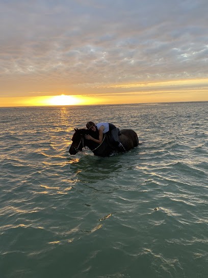 Space Equestrian Du Marais De Bréjat, Centre Equestres aux Mathes