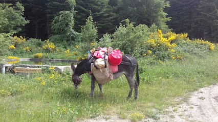 Pardigon Nadia Les Équipages Du Jougnier, Centre Equestres à Fraisse-sur-Agout