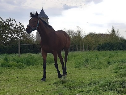 Les Ecuries De Fressies, Centre Equestres à Fressies