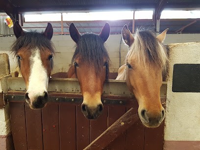 Ecurie Chauville Equestre, Centre Equestres à Nonville