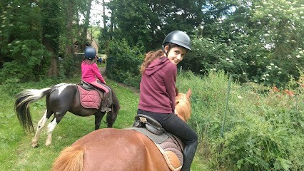 Stud De La Croix, Centre Equestres à Saint-Martin-de-Nigelles