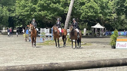EARL ARGOAT EQUITATION, Centre Equestres à Plouisy