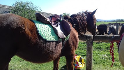 Poney Club De L'okapi Dans La Vallée, Centre Equestres à Montvendre
