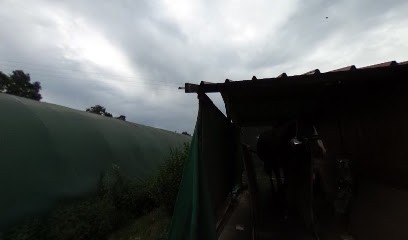 Scea Du Poney Club Du Peillard, Centre Equestres à Saint-Romain-de-Jalionas