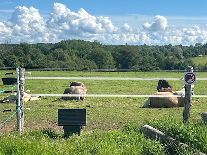 Earl Les Champs Du Chautay, Pension Pour Chevaux au Chautay