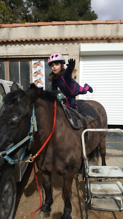 Ecurie Du Puits - Corniot Dominique, Centre Equestres à Saint-Cannat