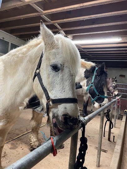 Equestrian Farm De La Fresnelle, Centre Equestres à Fatouville-Grestain