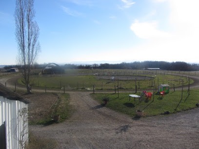 ECURIE ESTELUCIA, Centre Equestres à Mondavezan