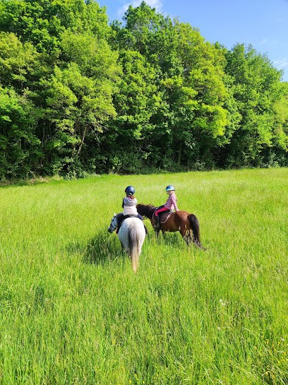 Stud De La Bouvaterie, Centre Equestres à Dissay-sous-Courcillon