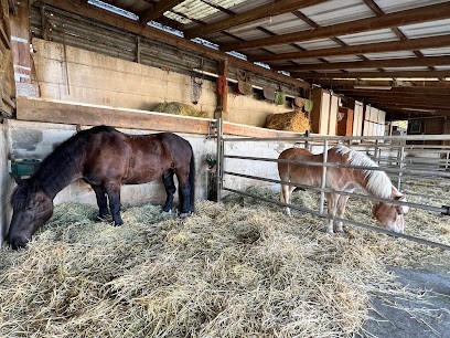 Les Écuries du Flecken, Pension pour Chevaux à Lembach