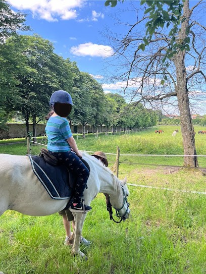 Castle Stables, Centre Equestres à Plaisir