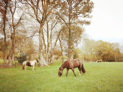 Espace Équestre Équi'soins Pension Pour Chevaux à Souleuvre en Bocage
