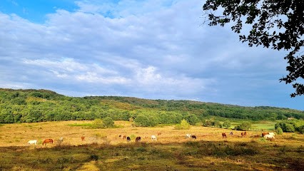 L'écrin De Jaspe, Centre Equestres à Saint-Beauzile