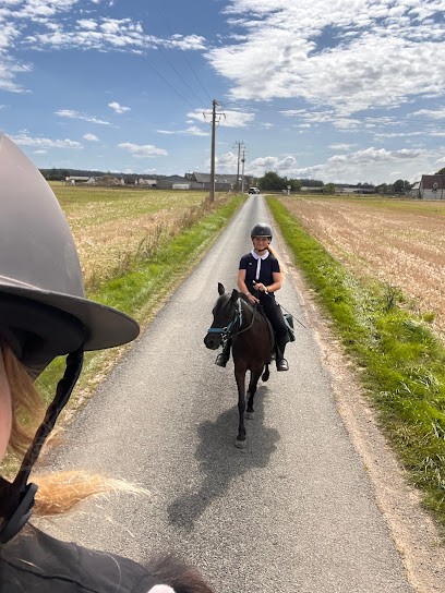 LES ECURIES DU GRAND CHEMIN, Centre Equestres à Digny