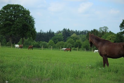 Domaine Équestre Nozkan, Centre Equestres à Saint-Hilaire-des-Landes