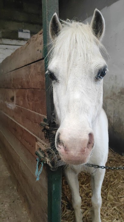 A E D HANDI CHEVAL, Centre Equestres à Goudelancourt-lès-Berrieux