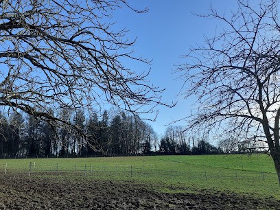 Ecurie La Salesse, Pension pour Chevaux à Saint-Yrieix-la-Perche