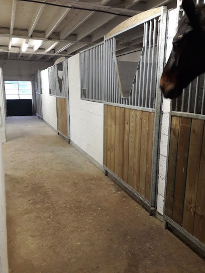 Domaine Des Massards, Centre Equestres à Sury-le-Comtal