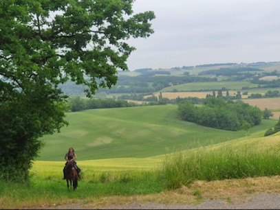 Les Chemins De Diva, Centre Equestres à Martres-Tolosane