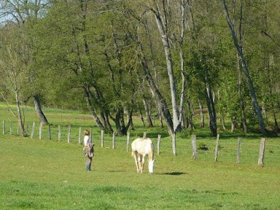 Le Chavenois Pension Chevaux Sur Pré Tout L'année Nancy-Nd, Pension pour Chevaux à Lay-Saint-Christophe