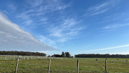 Les Ecuries De Lancôme, Pension pour Chevaux à Lancôme