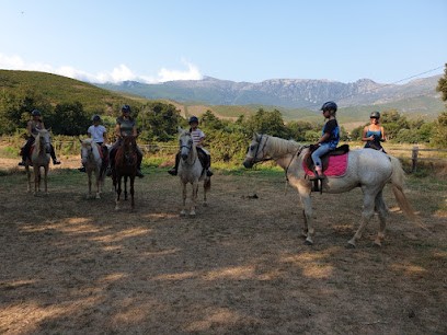 Promenades à Cheval Cavallu Di Brando, Centre Equestres à Pietracorbara
