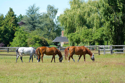 Haras Du Levant - Pension Chevaux Pension Pour Chevaux à Mézidon Vallée d'Auge