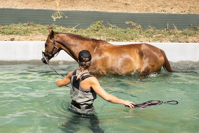 Ecurie Du Murinais Balneotherapie Equine, Centre Equestres à Blandin