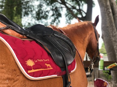 La Petite Écurie d’Anjou, Pension pour Chevaux à Grasse