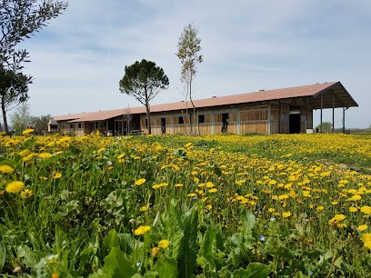 Les Écuries De L'arc, Centre Equestres à Pourrières