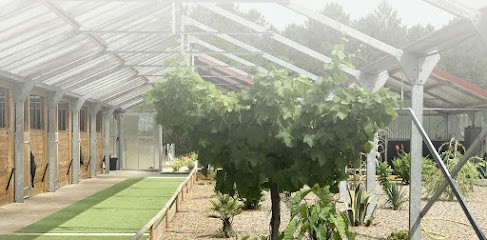 Les Écuries de Mées, Pension pour Chevaux à Mées