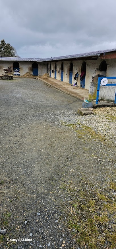 Les Ecuries Du Mas, Centre Equestres à Saint-Sornin-Lavolps