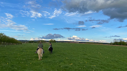 Le Sarcenot À Poney, Pension Pour Chevaux à Fougerolles-Saint-Valbert