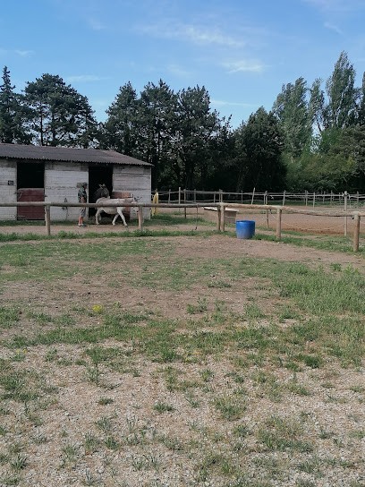 Les Ecuries De La Yourte, Pension pour Chevaux à Vedène
