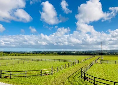 Haras de kerbiriou, Pension pour Chevaux à Cast