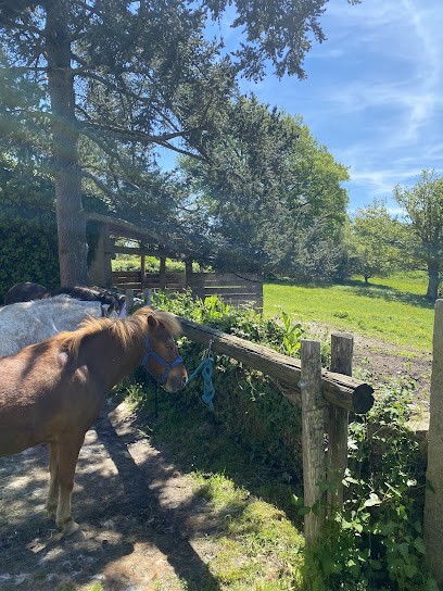 CENTRE EQUESTRE DU PONEY FRINGANT, Centre Equestres à Pérassay