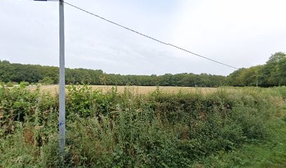 Clemenceau Daney Guylene Isabelle, Pension pour Chevaux à Mézilles