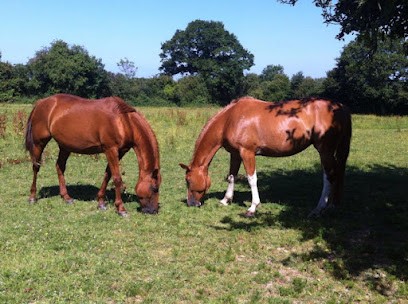 Écurie de la Bas Feuille, Pension pour Chevaux à Yvetot-Bocage