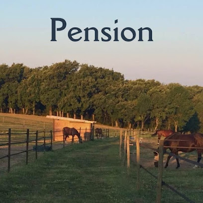 Les Écuries De Caussanel Pension Pour Chevaux à Saint-Grégoire