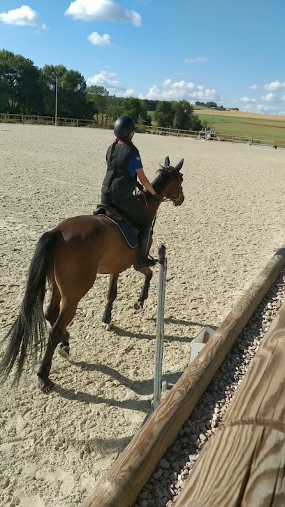 EPERON DU KOCHERSBERG, Centre Equestres à Truchtersheim