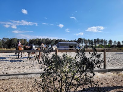 Haras De Piques, Pension pour Chevaux à Saint-Aubin-de-Médoc