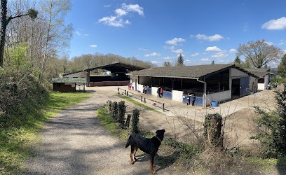 Les Ecuries D'ergal, Centre Equestres à Jouars-Pontchartrain