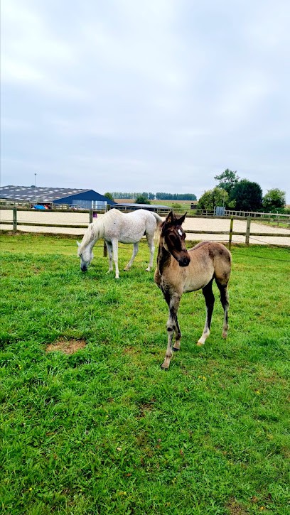 Ecuries De Foret, Centre Equestres à Saint-Ouen-du-Tilleul